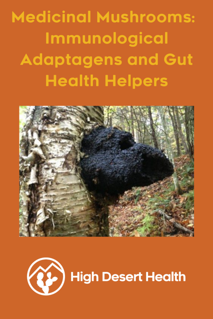 Medicinal Mushrooms: Immunological Adaptogens and Gut Health Helpers