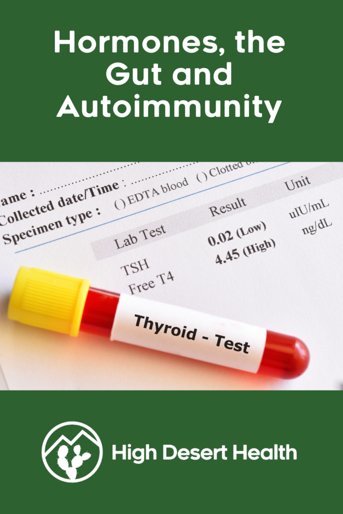 hormones-the-gut-and-autoimmunity