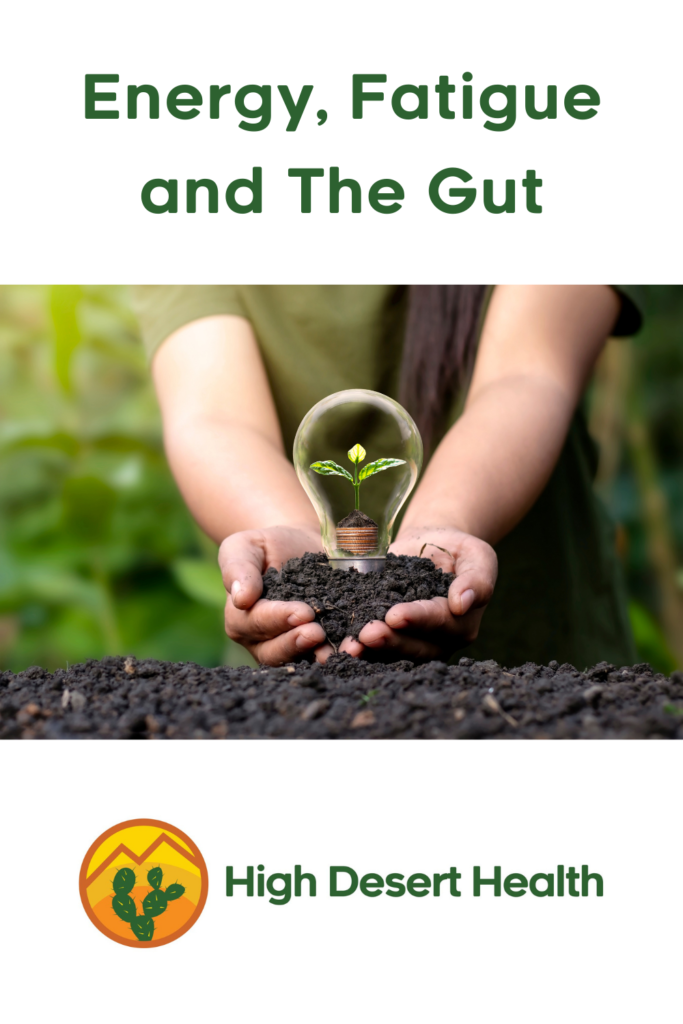 Energy, Fatigue and the Gut