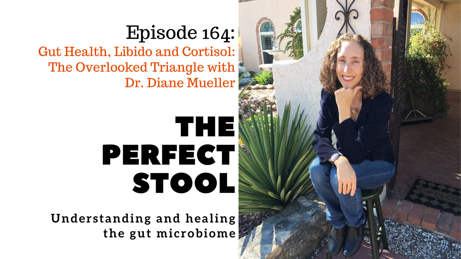 Gut Health, Libido and Cortisol: The Overlooked Triangle with Dr. Diane Mueller on The Perfect Stool Podcast
