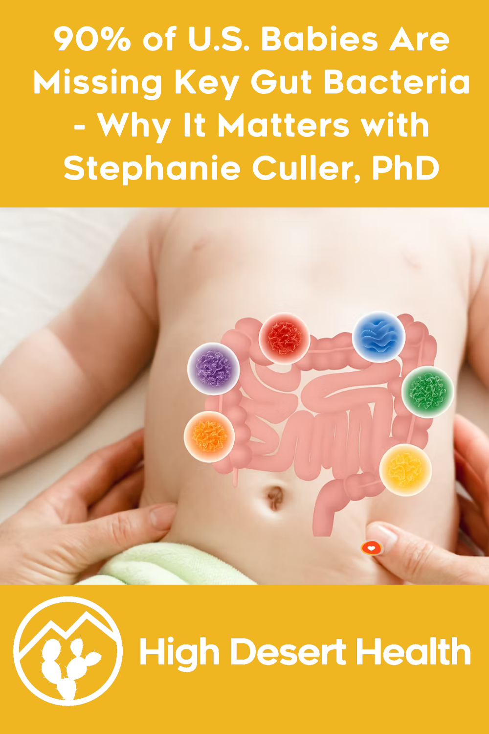 90% of U.S. Babies Are Missing Key Gut Bacteria - Why It Matters with Stephanie Culler, PhD
